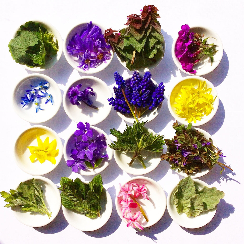Wild Flower Hair Serum