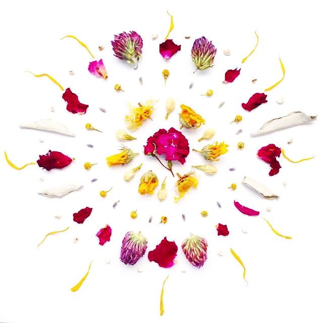 Wild Flower Hair Serum